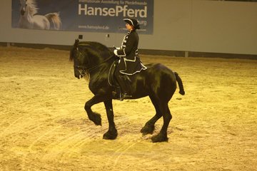 Bild 74 - Hansepferd Gala am 18.4.10